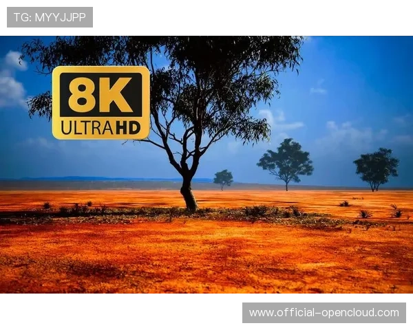 8K HDR流程打通,展现更多画面细节 8K HDR流程打通,展现更多画面细节